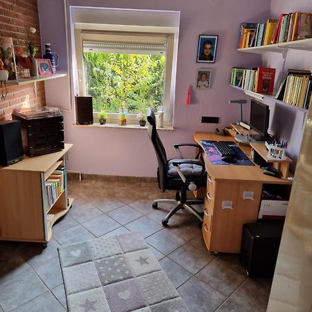 הארלזיל Haus Kalle מראה חיצוני תמונה